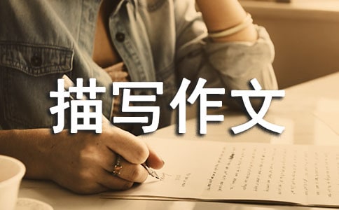 我的姐姐人物描寫作文(精選32篇)