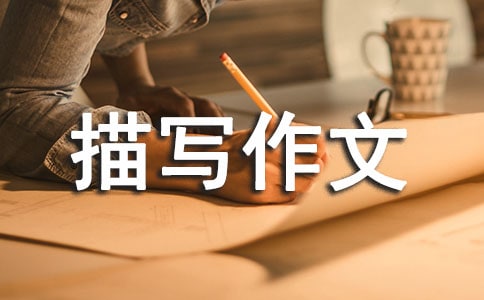 �h(hu��n)���茑���Ķ��꼉�����x26ƪ��