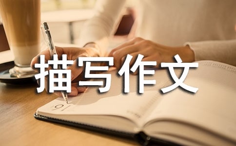 (集合)實(shí)用的心理描寫作文300字