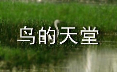 精選鳥的天堂教案模板匯總五篇