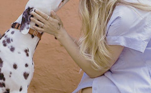 �oŮ���C��(ji��ng)���o