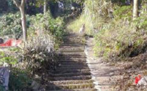 關(guān)于一句話爬山感悟的說說短句子 站在山頂上的17句