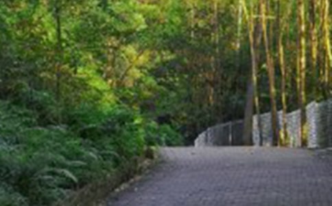 �P(gu��n)����ɽ��ӵĲ߄���2ƪ