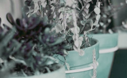 �ҵ�.�������꼉����