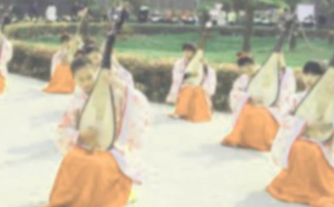 《琵琶行》教案3篇