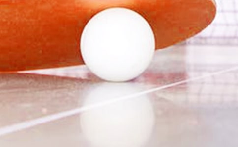 第一次學(xué)乒乓球作文范文