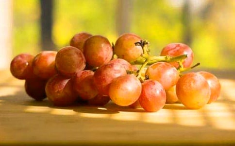 ��������ҹ�Ɑ����˼��ԭ��