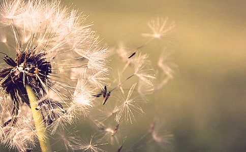 ���ѹ�Ӣ���̌W(xu��)�O(sh��)Ӌ(j��)���ģ����x3ƪ��