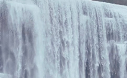 紫藤蘿瀑布評課稿2篇