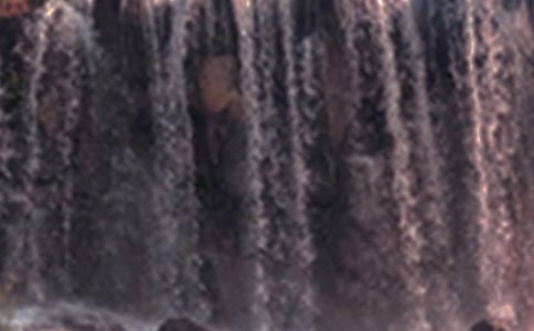 《紫藤蘿瀑布》最新教學(xué)設(shè)計(jì)