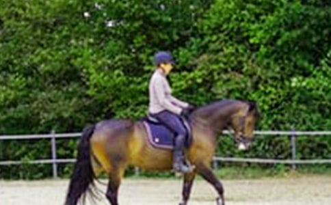 �����T���T�R���ļ��\5ƪ