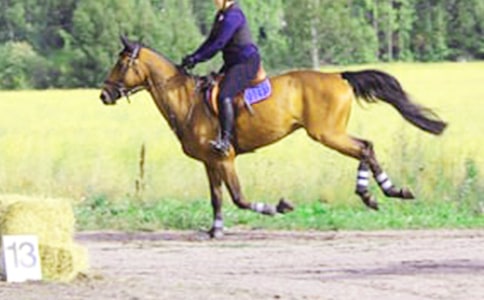 �常�v���T�R��ͯԒ����