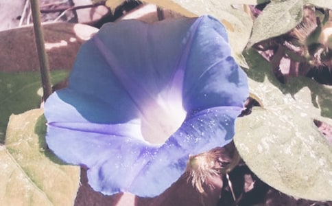 һ�䠿�������꼉����400��