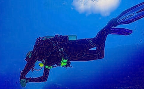 第一次潛水作文 15篇