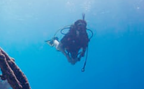 第一次潛水作文【推薦】