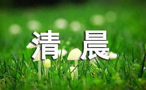 青春征文:清晨放牛