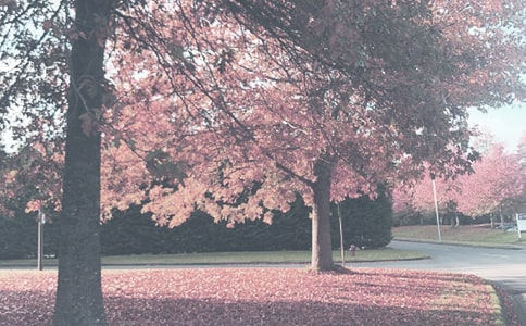 �＾�ЌW(xu��)�F꠹���Ӌ������