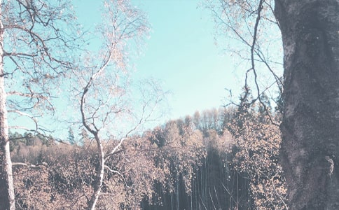 2020���＾�W(xu��)�����꼉(j��)�����̌W(xu��)Ӌ(j��)��