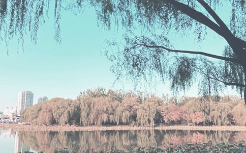 ���P(gu��n)�＾�W(xu��)�ڹ���Ӌ(j��)��