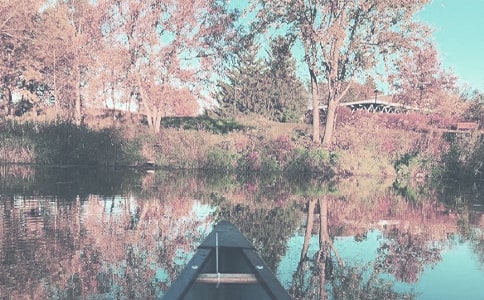 2022���＾��(g��)�˽̌W(xu��)����Ӌ(j��)����ͨ��6ƪ��