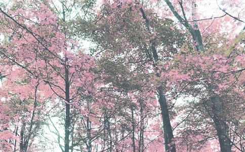 �ЌW(xu��)�＾�W(xu��)�ڹ���Ӌ(j��)��ģ��