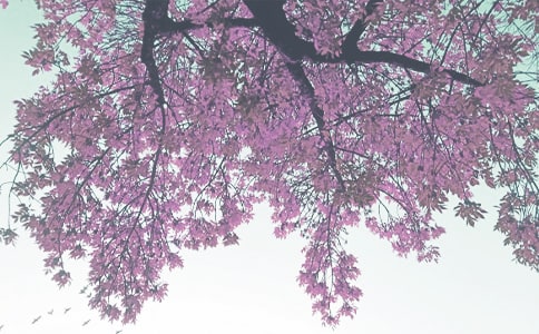 С�W(xu��)�＾�̌W(xu��)Ӌ(j��)�����\10ƪ