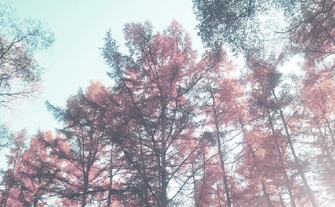 �ЌW(xu��)�＾�W(xu��)�ڹ���Ӌ(j��)��