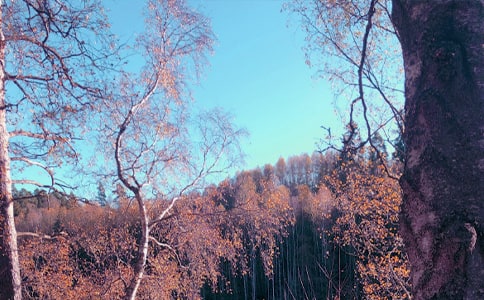 �����������꼉(j��)��(y��u)������