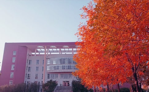 秋日賞月度佳節(jié)作文700字