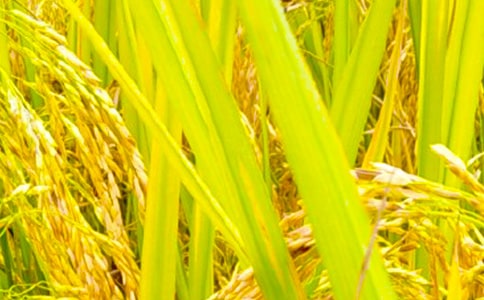 �_չ�����r(n��ng)��ָ��(d��o)����ͨ��24ƪ��