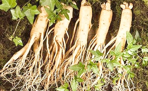 ���Y(ji��)�˅��Ĺ�Ч�c����