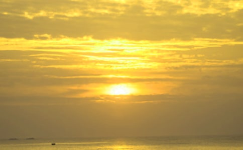 關(guān)于描寫(xiě)日出的優(yōu)美段落(精選115段)