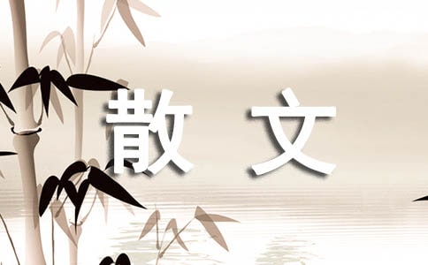 ��һ��,�����ɢ��