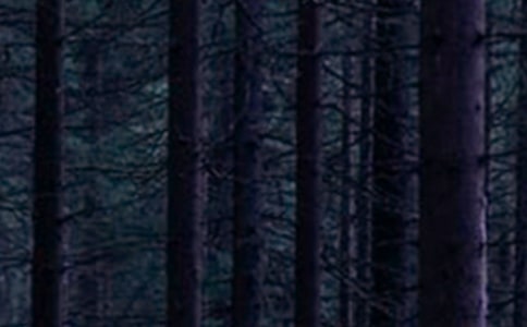 ɭ�ַ����`����(bi��o)�Z(y��)