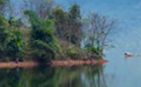 山水田園詩的常見意象和主要內(nèi)容思想