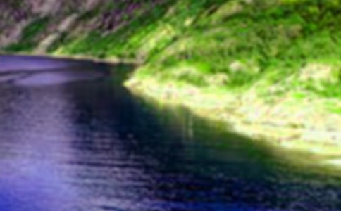 �P(gu��n)���茑ɽˮ�ă�(y��u)������