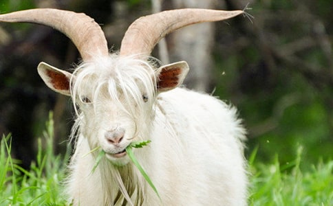 ���xɽ��������ƪ