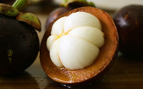 游南山竹海-小學(xué)生暑假作文650字