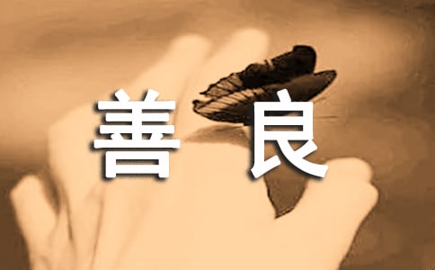 善良的魅力作文600字(通用18篇)