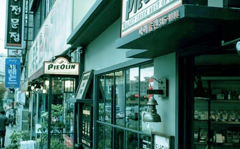 小學(xué)六年級(jí)作文800字:貓咪商店