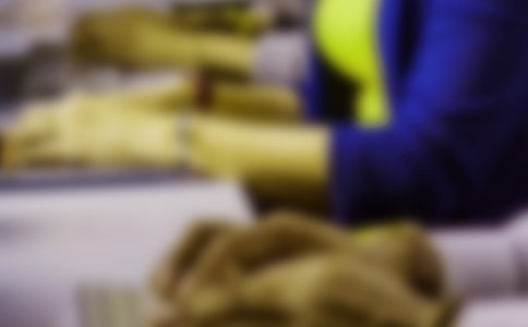 �̄�(w��)�������Ո��13ƪ