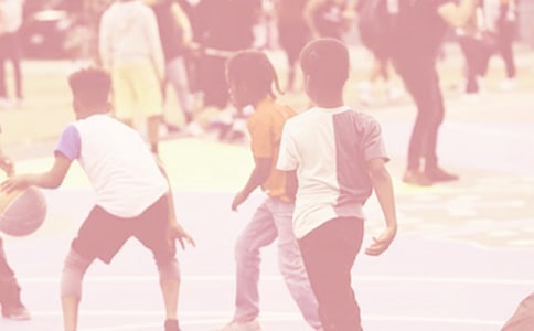 2016�����������ϾW(w��ng)���h��