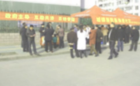 社區(qū)殘疾人協(xié)理員述職報告范文