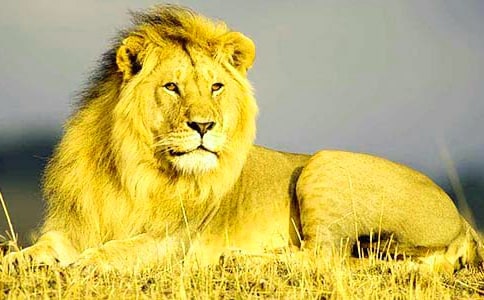 �а���(y��u)���Z�Խ̰����l�ҳ�Ц�{�ӡ�