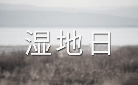 世界濕地日宣傳活動(dòng)總結(jié)范文
