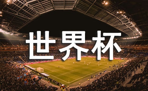 卡塔爾世界杯征文800字(通用15篇)