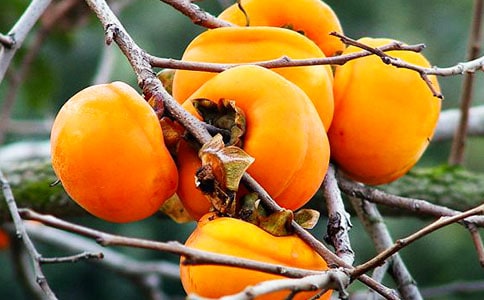 ����ԁ���ӵ�Ԋ�~