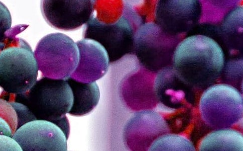 С��̰���ˮ����