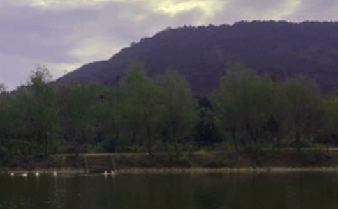 ˮ�������Ŀ��Ч���u��淶�ģ����x5ƪ��