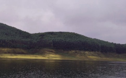 �Ϟ�ˮ����|(zh��)����(x��)���